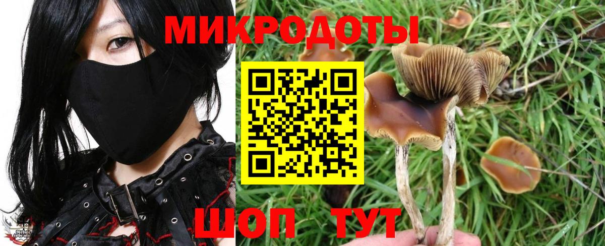 Галлюциногенные грибы мицелий  Псилоцибиновые грибы Magic Shrooms  Вход с VPN  Стрежевой 